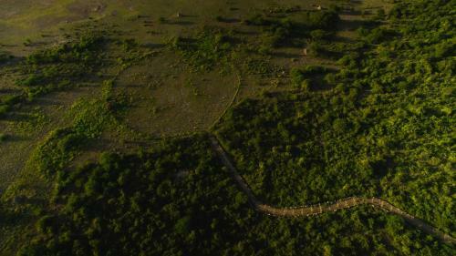 Lodge Manyara Wildlife Safari Camp