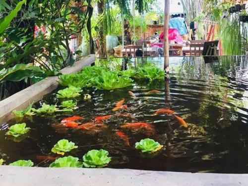 Posada Artist's Place Trat