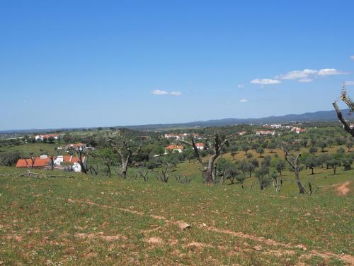 Monte Do Alentejo | Cozy Cottage