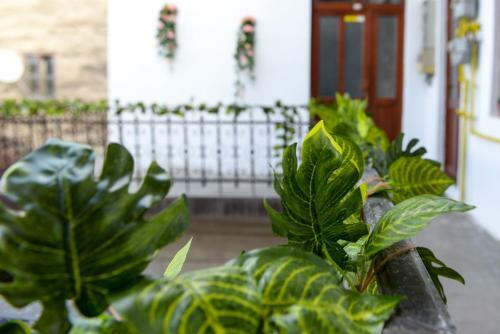 Apartamento Modern Central-near Unirii Square