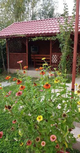 Hostal Pensiunea Dana