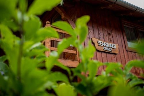 Hostal Pensiunea George