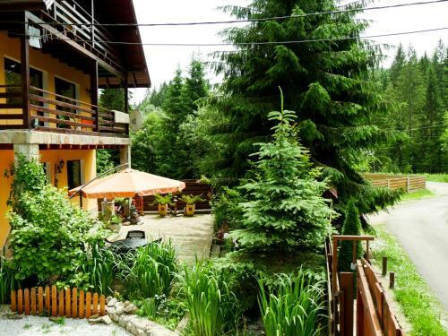 Atelierul Zanei Holiday Home