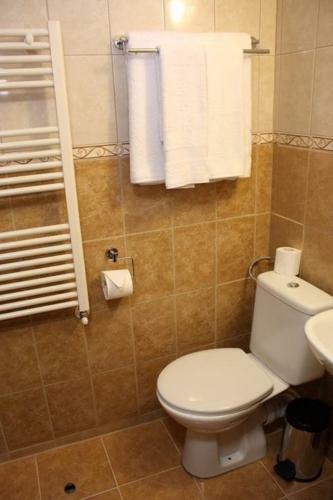 Hostal Conacul Samfirei