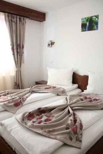 Hostal Conacul Samfirei