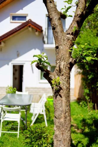 Apartamento Victoriei Residence