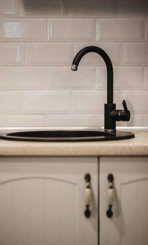 Apartamento Casa Randunicii - Swallow House