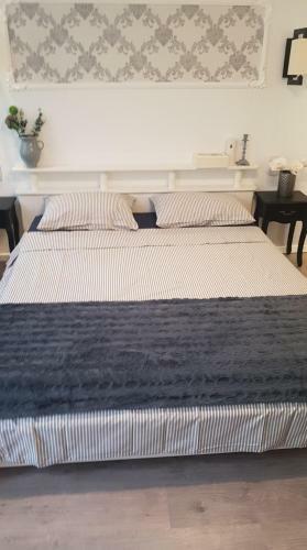 Apartamento Casa Randunicii - Swallow House
