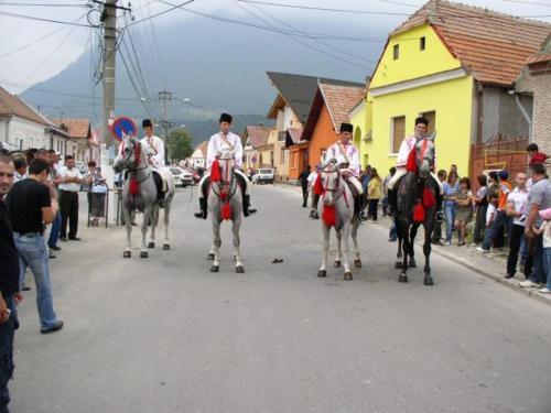 Hostal Sura Pietrei Craiului