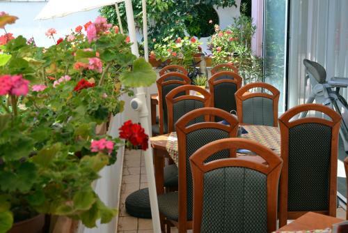 Hostal Timona Confort