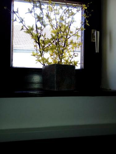 Hostal Guest House Zuzic