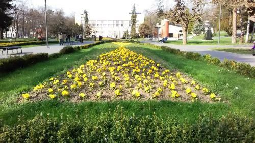 Smiley Apartman