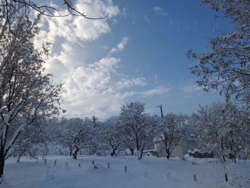 Villa Honey Hill Apartment Fruska Gora