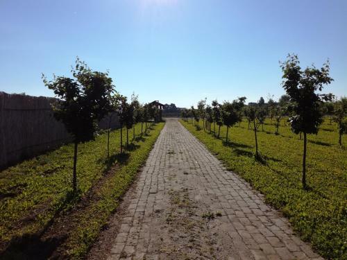 Bed & Breakfast Sala? Farma 47-miris Dunja