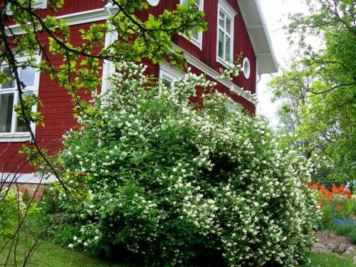 Wiborgg�rden Bed And Breakfast