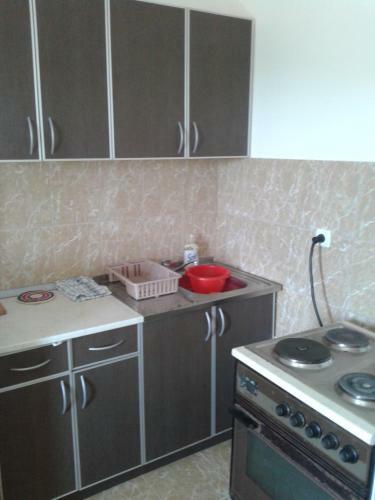 Apartment Pavlovic