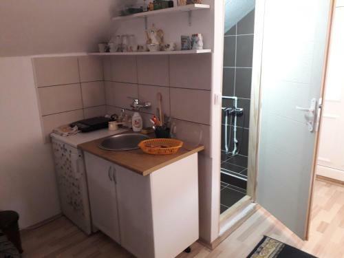 Hostal Guest House Vila Banjica