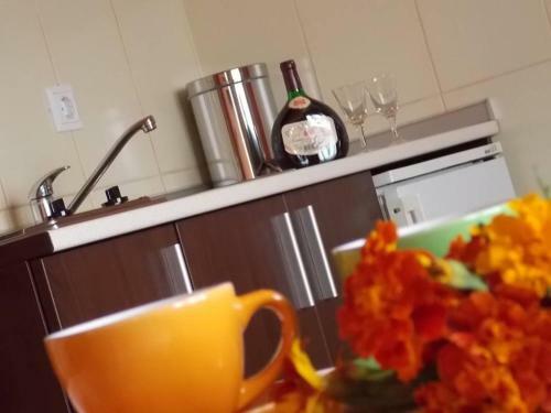 Apartments Vukomanovi?