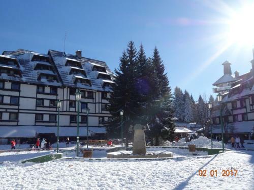 Apartment Ski Star Konaci