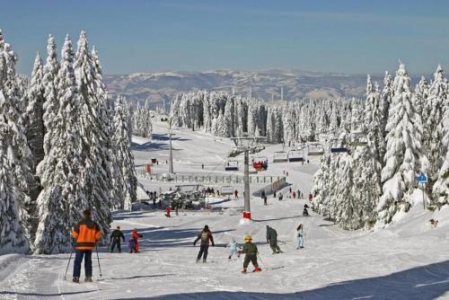 As Lux Apartmani Kopaonik