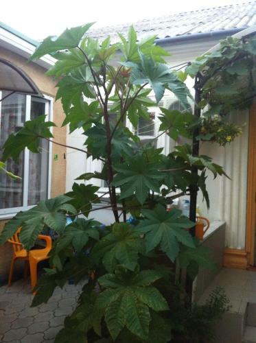 Hostal Guest House Vysoky Bereg