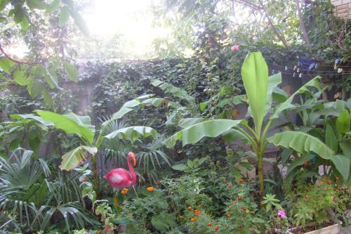 Hostal Guest House Korsika