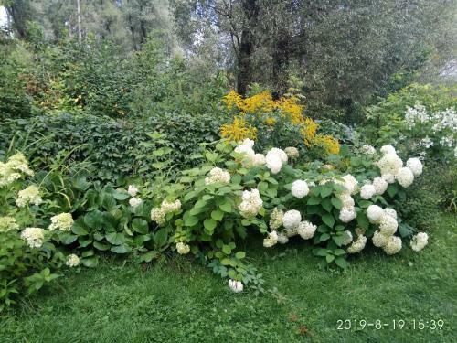 Posada Guest House Colibri