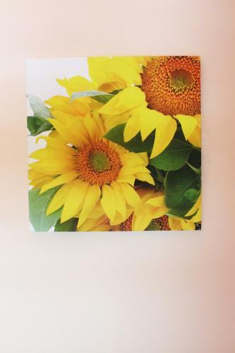 Hostel Podsolnuh