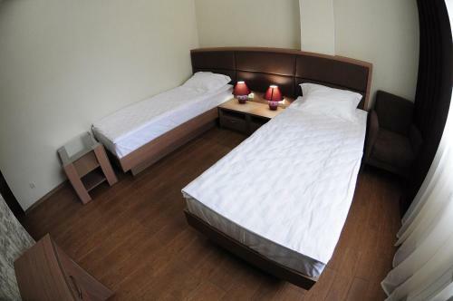 Hotel Fandorin