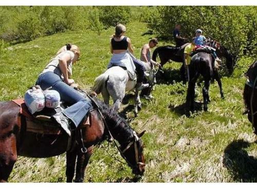Hotel Zolotoy Mustang