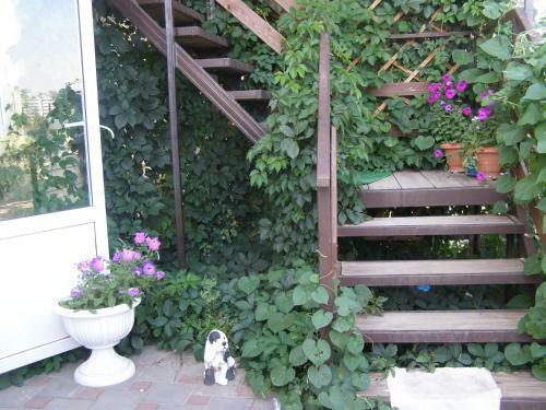 Hostal Guest House Family