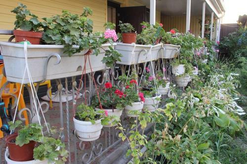 Hostal Guesthouse Mechta