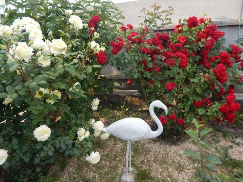 Hostal Gostevoy Dom Anastasiya
