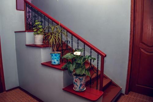 Hostal Guest House Grafstvo Azov