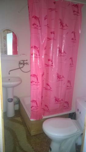 Hostal Guest House On Chapayeva 7b