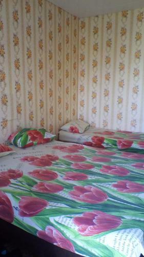 Hostal Guest House On Chapayeva 7b
