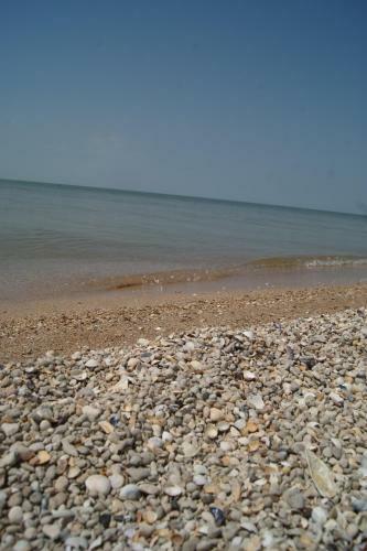 Hostal Guest House On Kalinina 336