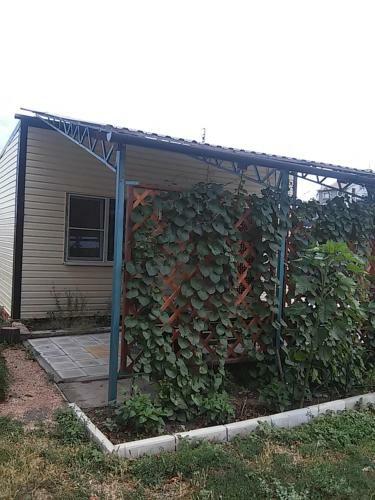 Agroturismo Holiday Home On Chapaeva