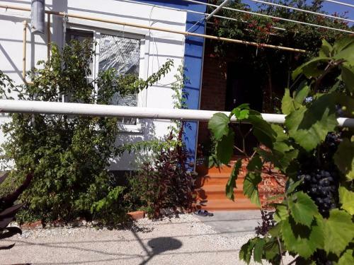 Guest House U Morya