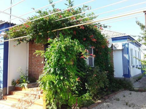 Guest House U Morya