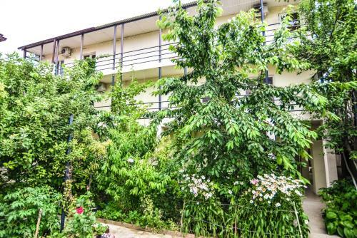 Hostal Guest House "golubaya Laguna"