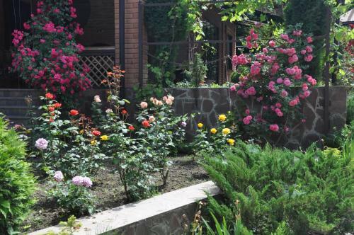 Hostal Guest House Edelveys