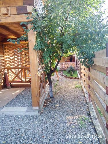 Hostal Guest House Gorniy Vozdukh