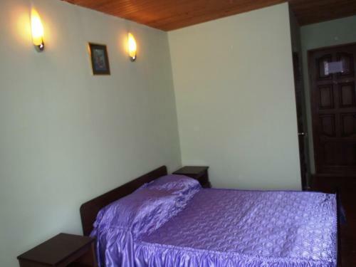 Posada Guest House U Valentiny