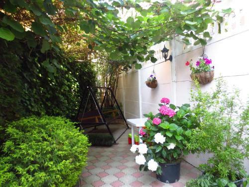 Hostal Mishel Guest House