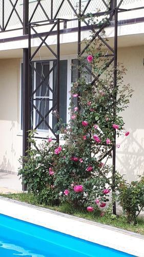 Hostal Guest House On Aivazovskogo 38