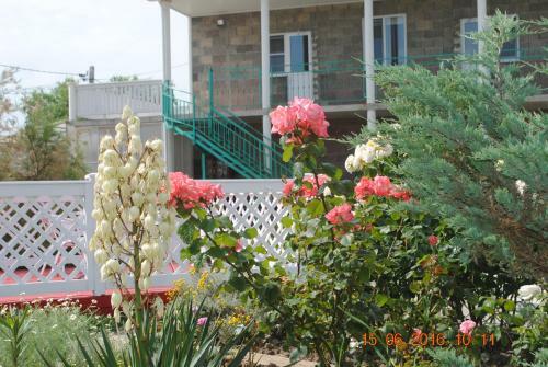 Hostal Guest House Sankt-peterburg