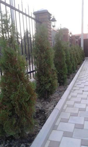 Hostal Guest House Wellorosso