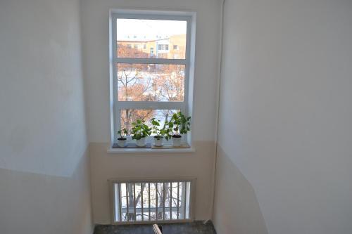 Apartamento ???????????? "???????"