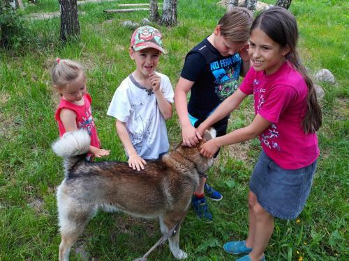 Agroturismo Gostevoy Kompleks Sosny